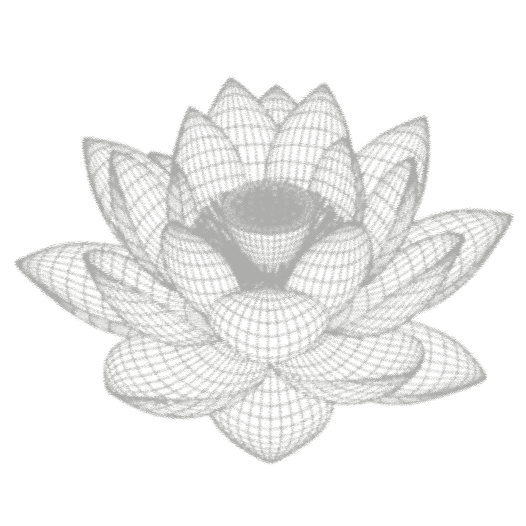 Lotus wireframe illustration